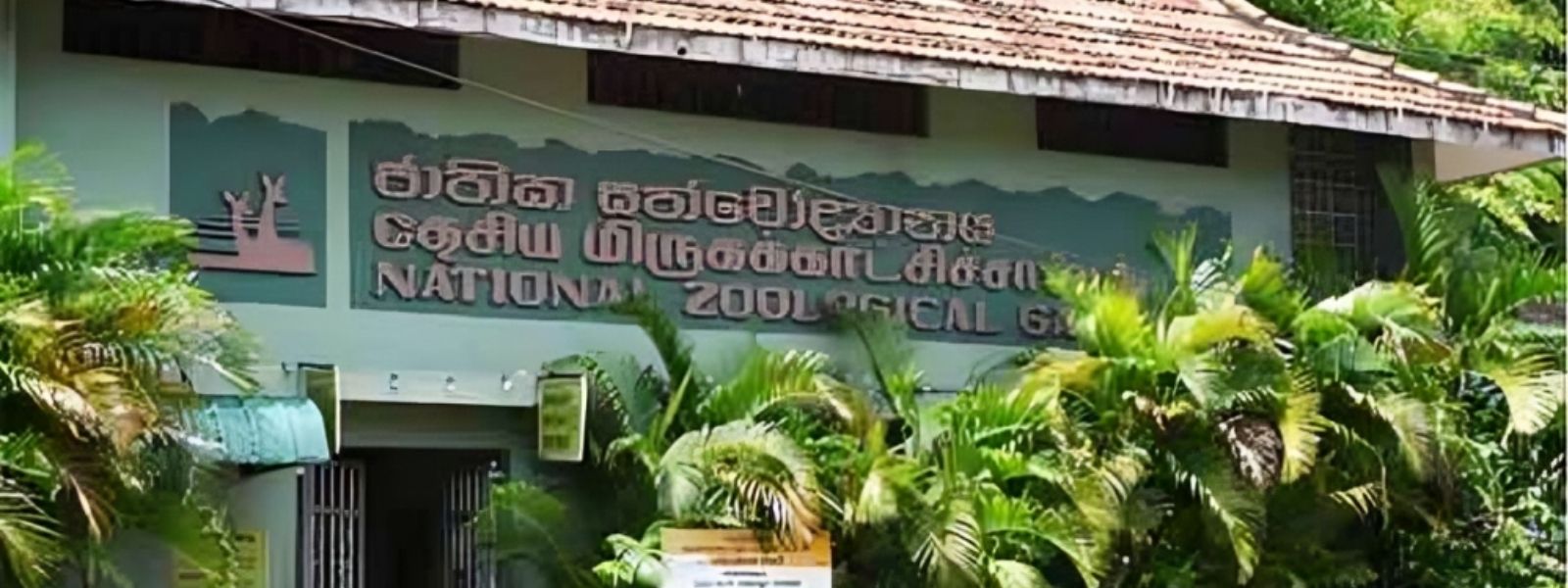 30 Pigeons Stolen from Dehiwala Zoo